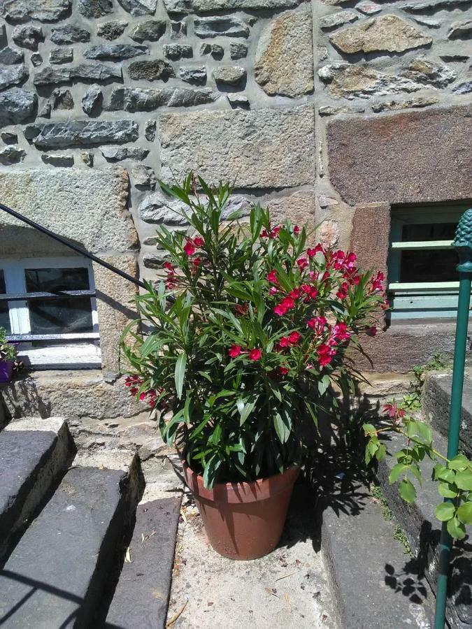 Le Refuge Des Alpes Mancelles Apartment Fresnay-sur-Sarthe Bagian luar foto